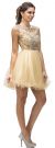 Bejeweled Mesh Bodice Cap Sleeves Short Baby Doll Dress in Champaign